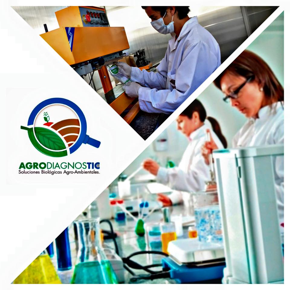 BIOINSUMOSECUADOR S.A.S.– Elevating Bioproduct Manufacturing with Disc Granulation