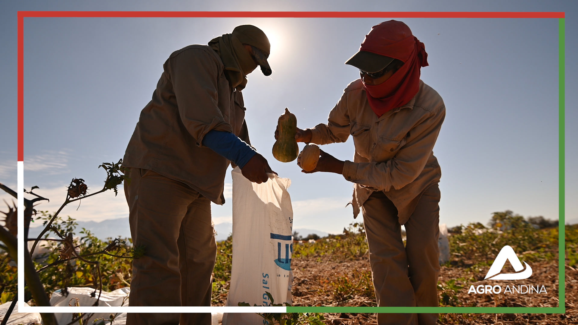 Modernizing Fertilizer Production: Agrológica Andina’s Strategic Equipment Investment